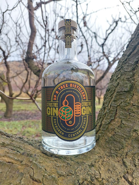 Citrus Tree Gin