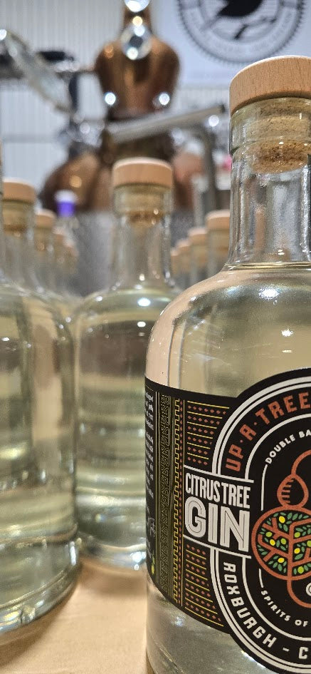 Citrus Tree Gin