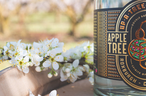 Apple Tree Gin