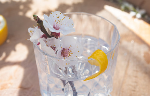 Apple Tree Gin