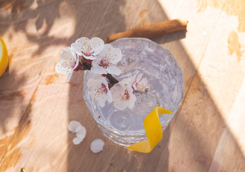 Apple Tree Gin