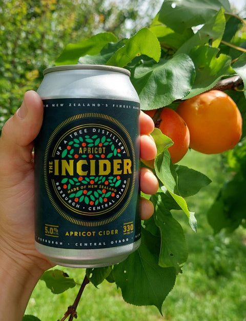Apricot Cider (5% ABV)