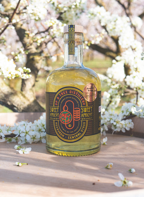Apricot Brandy