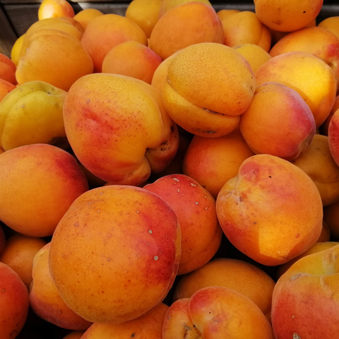 Apricots