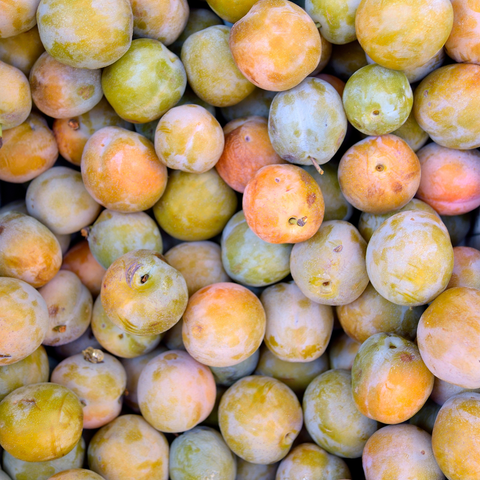Greengage Plums