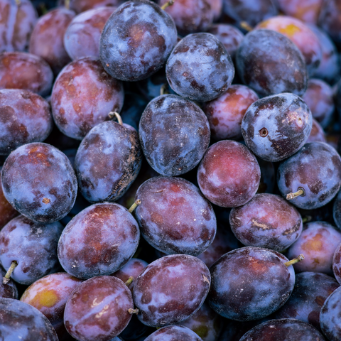 Mixed Fruit
