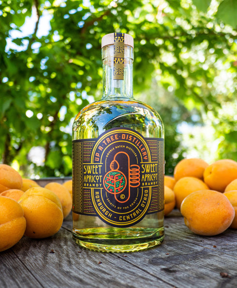 Apricot Brandy